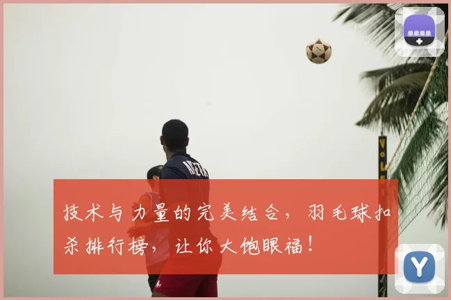 技术与力量的完美结合,羽毛球扣杀排行榜,让你大饱眼福!